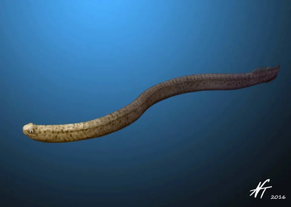 How a Mass Extinction Cleared the Way for Jawed Fishes and the Age of Vertebrates