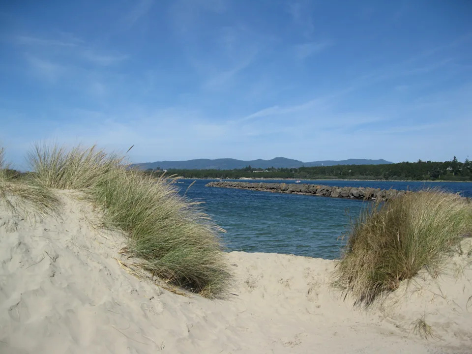 When Oregon Dynamited a Beached Whale: The Infamous 1970 