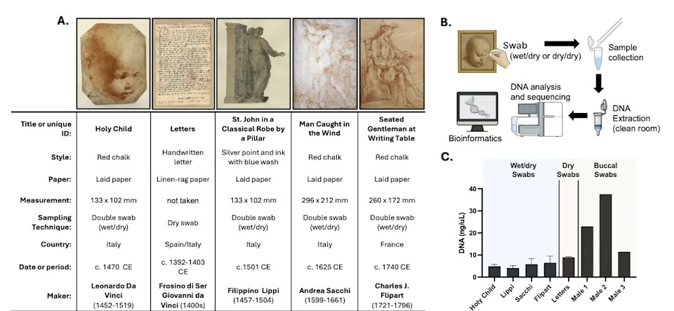 Scientists Close In On Possible Leonardo da Vinci DNA After Y‑Chromosome Fragments Found on Red‑Chalk Drawing