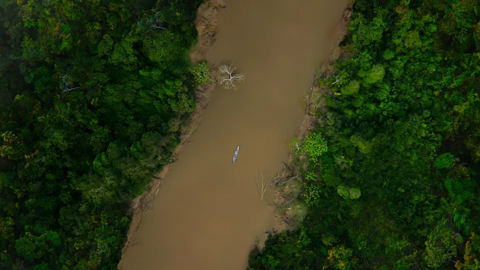 Never-Before-Seen Footage Shows Giant Anaconda Discovery in Ecuador — Genetics Reveal New Species