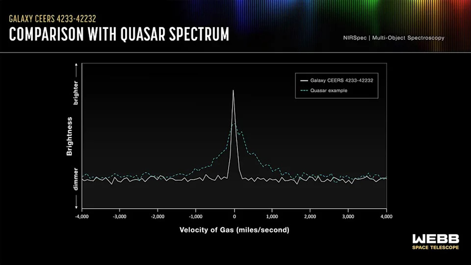 JWST's 'Platypus' Objects: Nine Puzzling, Point-Like Sources That Could Be Infant Galaxies or A New AGN Class