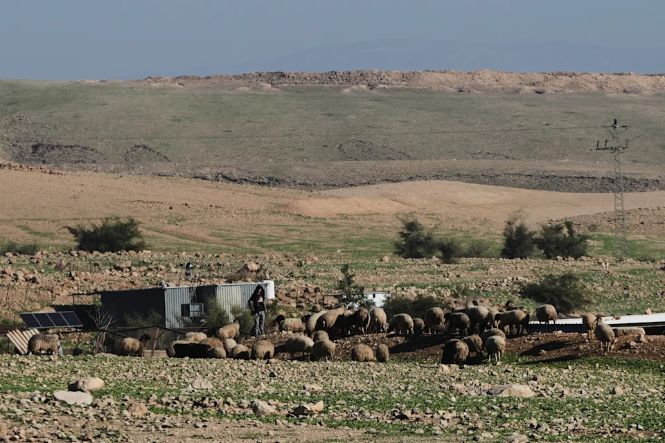 Settler Violence Forces Dozens From Ras Ein el-Auja, One of the Last Bedouin Villages in the West Bank