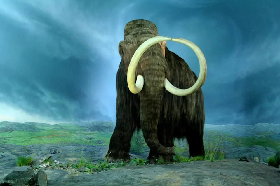 40,000-Year-Old RNA From Yuka the Mammoth Rewrites What We Know About Ancient Molecules