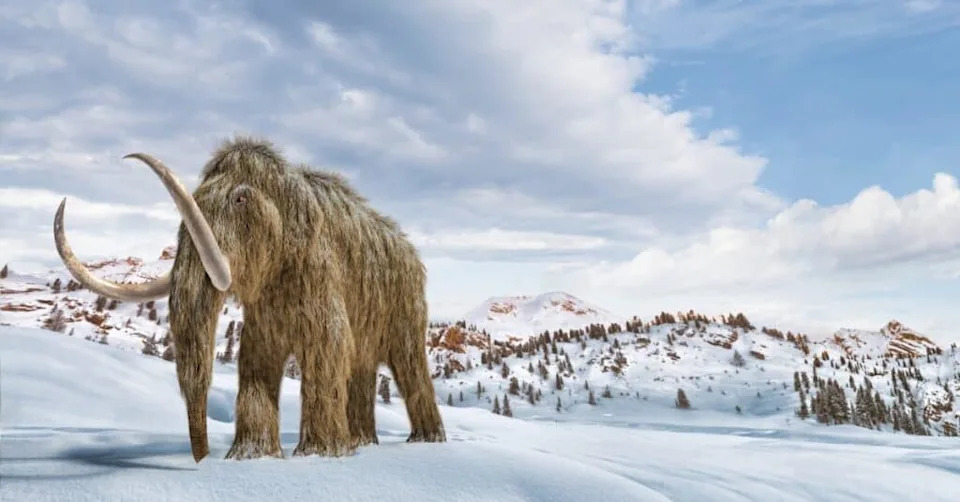 40,000-Year-Old RNA From Yuka the Mammoth Rewrites What We Know About Ancient Molecules