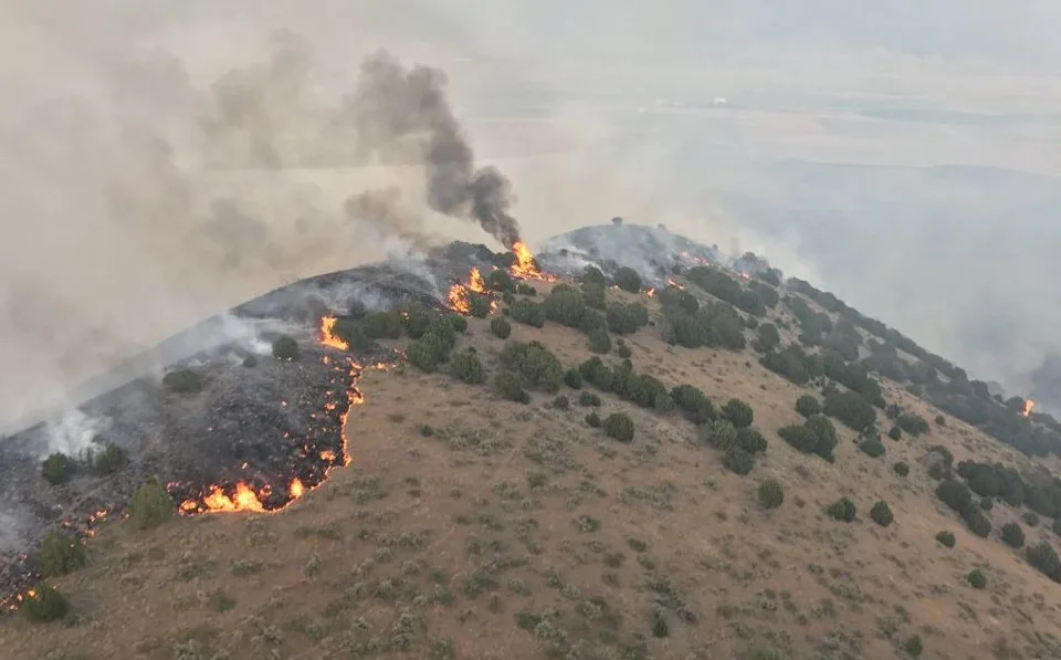 USU Study: Hot Days Could Drive Up To 60% More Wildfire Burn Area In Some Utah Forests By 2050