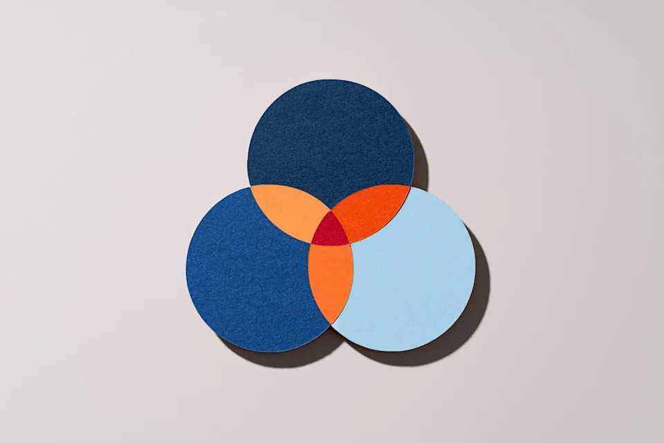 Interdisciplinarnost protiv akademije: Zašto obučeni interdisciplinarni istraživači napuštaju univerzitete