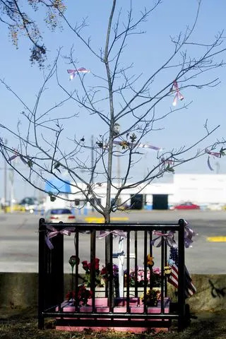 Who Killed Amber Hagerman? The Unsolved 1996 Murder That Sparked the AMBER Alert