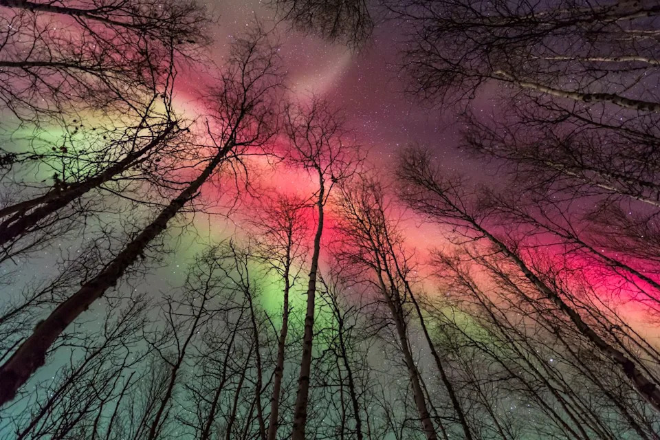 How to See Back-to-Back Northern Lights Tonight — What to Know for Jan. 13–14