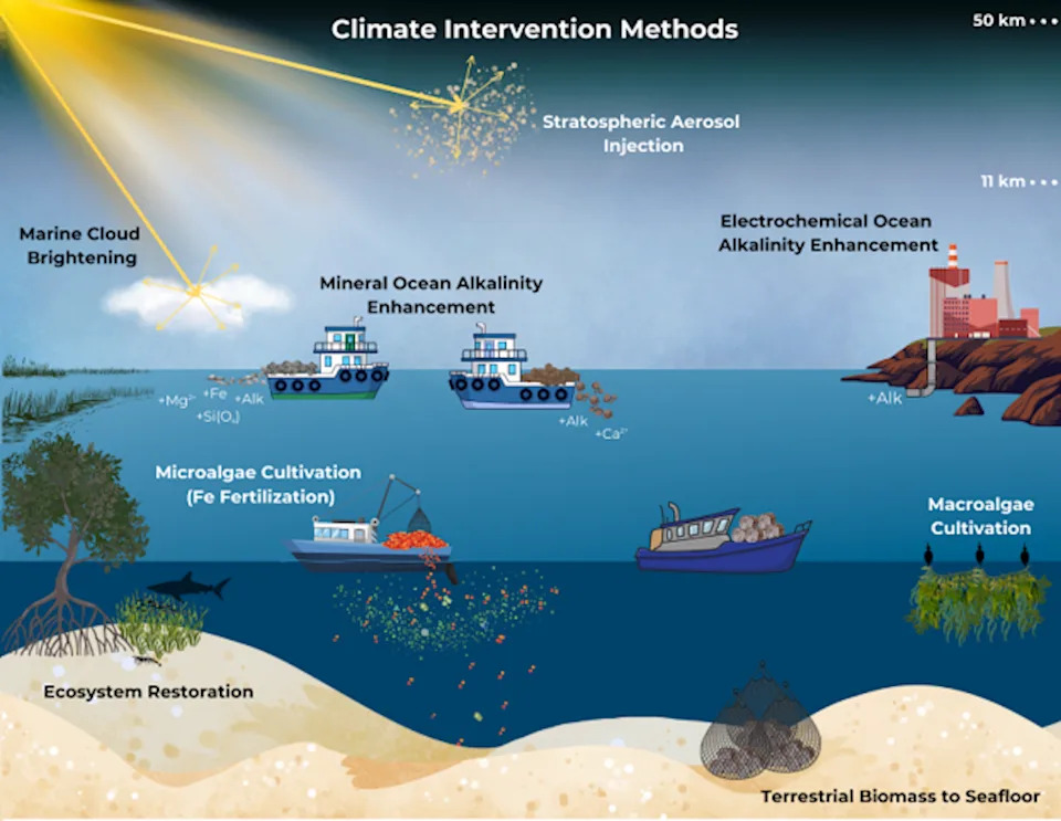How Ocean Geoengineering Could Reshape Marine Life — A New Risk Assessment