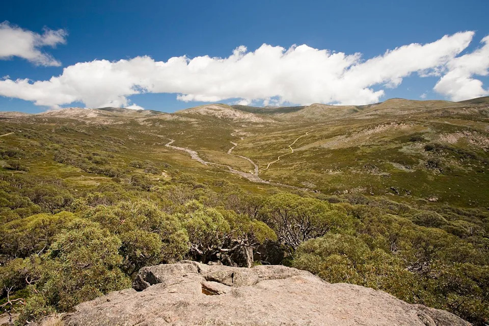 Teen Triathlete Rescued After Wrong Turn — Ran Nearly 31 Miles Through Kosciuszko Mountains