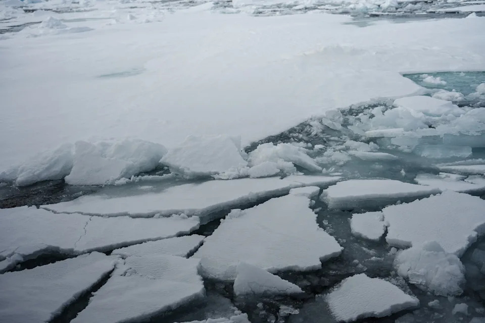 Ocean Damage Nearly Doubles the Social Cost of Carbon, Scripps Study Finds