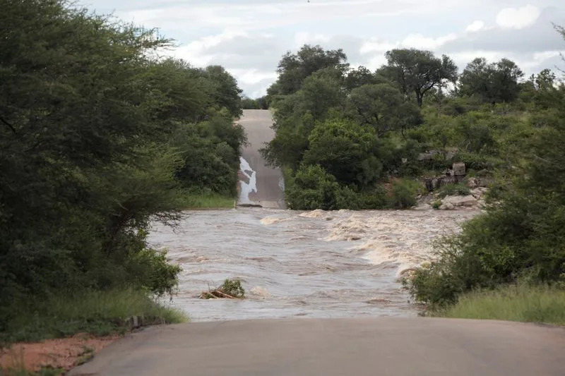 Kruger National Park Closed to Day Visitors After Severe Flooding — Hippos Seen Among Submerged Trees