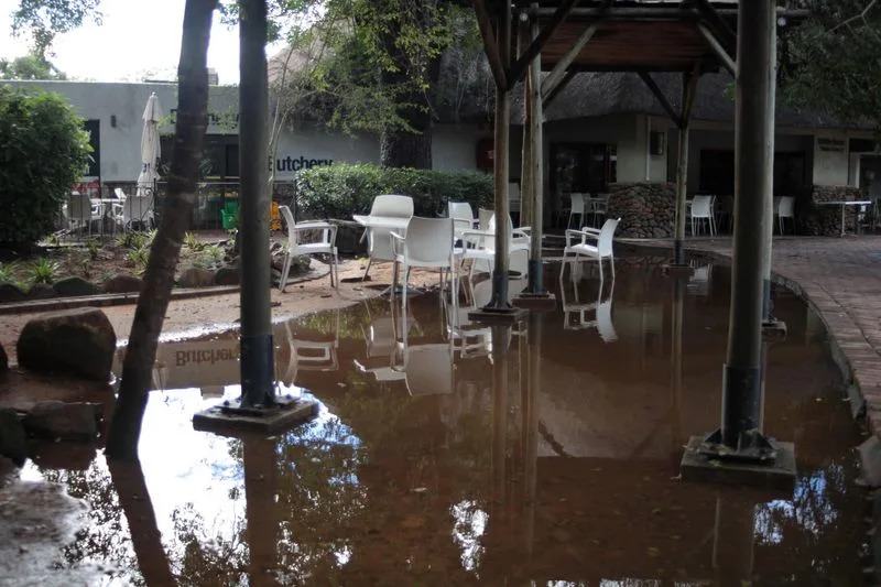 Kruger National Park Closed to Day Visitors After Severe Flooding — Hippos Seen Among Submerged Trees