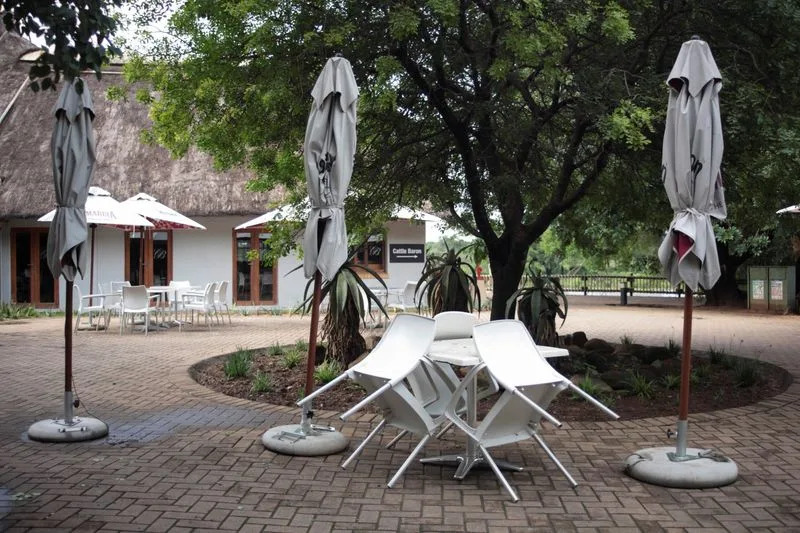Kruger National Park Closed to Day Visitors After Severe Flooding — Hippos Seen Among Submerged Trees