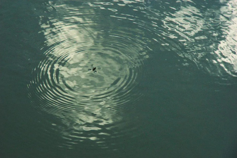 How Tiny Bugs Row, Skate and Sprint Across Water: Leaky Paddles and Surface-Tension Tricks