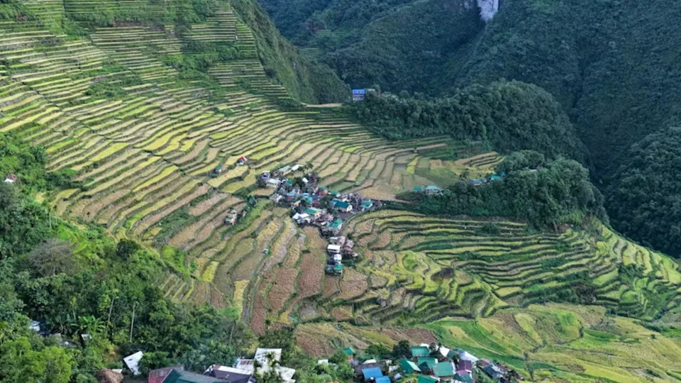 How Mountain Terraces Help Indigenous Communities Live With Climate Uncertainty