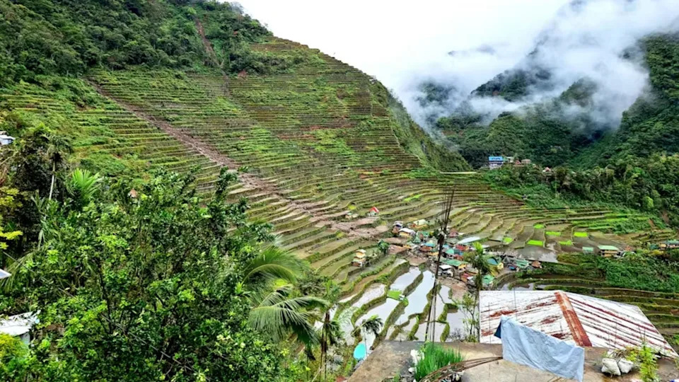 How Mountain Terraces Help Indigenous Communities Live With Climate Uncertainty