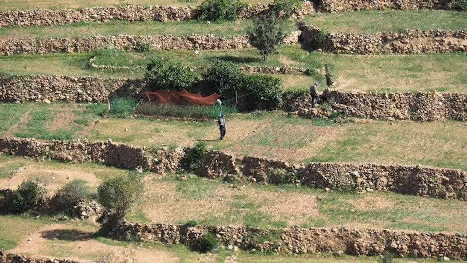 How Mountain Terraces Help Indigenous Communities Live With Climate Uncertainty