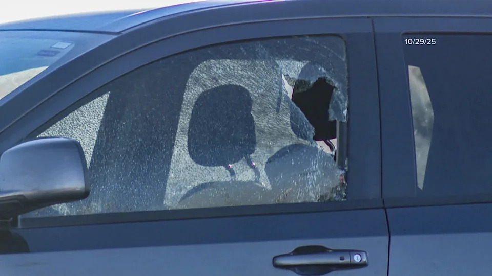 11 People Shot by DHS Immigration Officers Since September — Vehicle Shootings Raise Pattern and Training Concerns