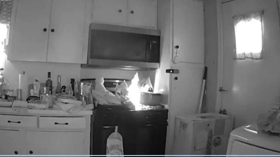 Cat Caught on Camera Turning On Stove, Sparking Kitchen Fire in Dallas County