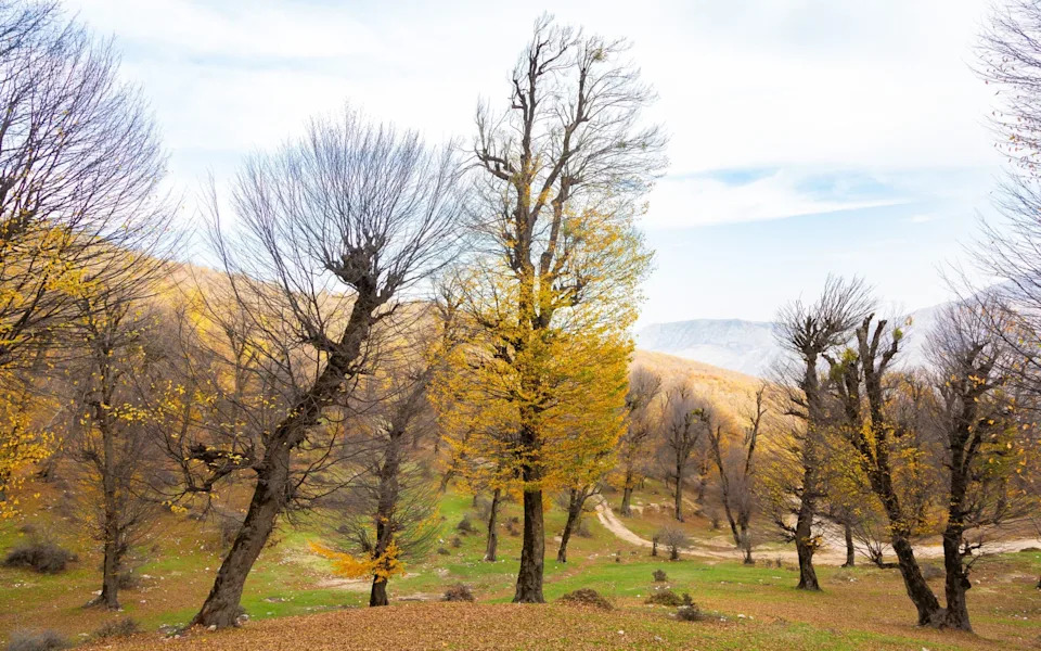 Iran: A Country to Cherish, Not a Problem to Solve — A Personal Love Letter