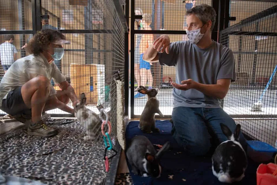 Zoochosis Explained: Why Some Captive Animals Pace, Pluck, and Repeat