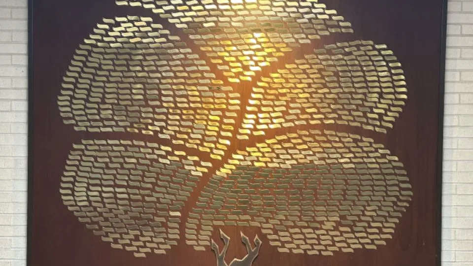 Historic Jackson Synagogue Damaged in Suspected Arson; Torahs Saved, Artifacts Devastated