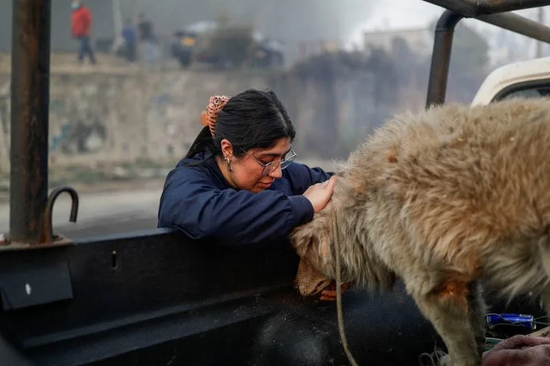 Chile Declares State Of Catastrophe As Wildfires Kill 18, Force Nearly 20,000 To Evacuate
