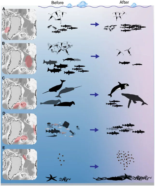 How a Single 2003 Marine Heat Wave Continues to Reshape the North Atlantic