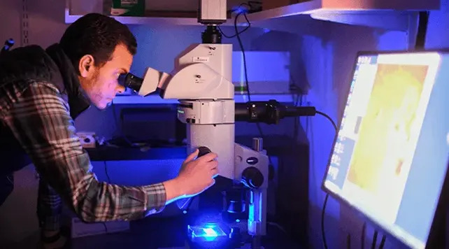 Single Lipid Molecule May Explain How Brain Blood Flow Changes Trigger Dementia