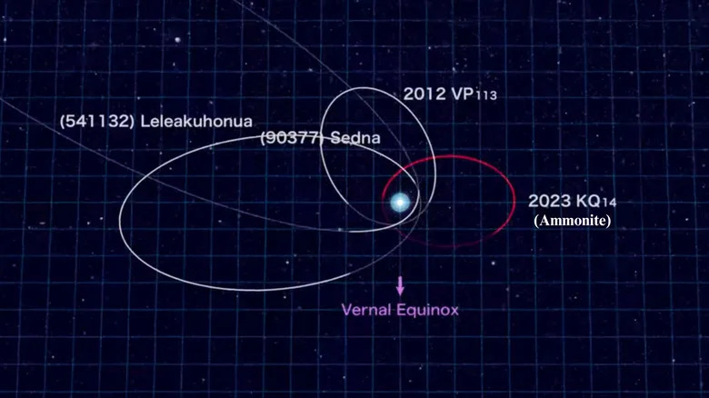 Newly Discovered Sednoid 'Ammonite' Could Change How We See the Solar System's Past
