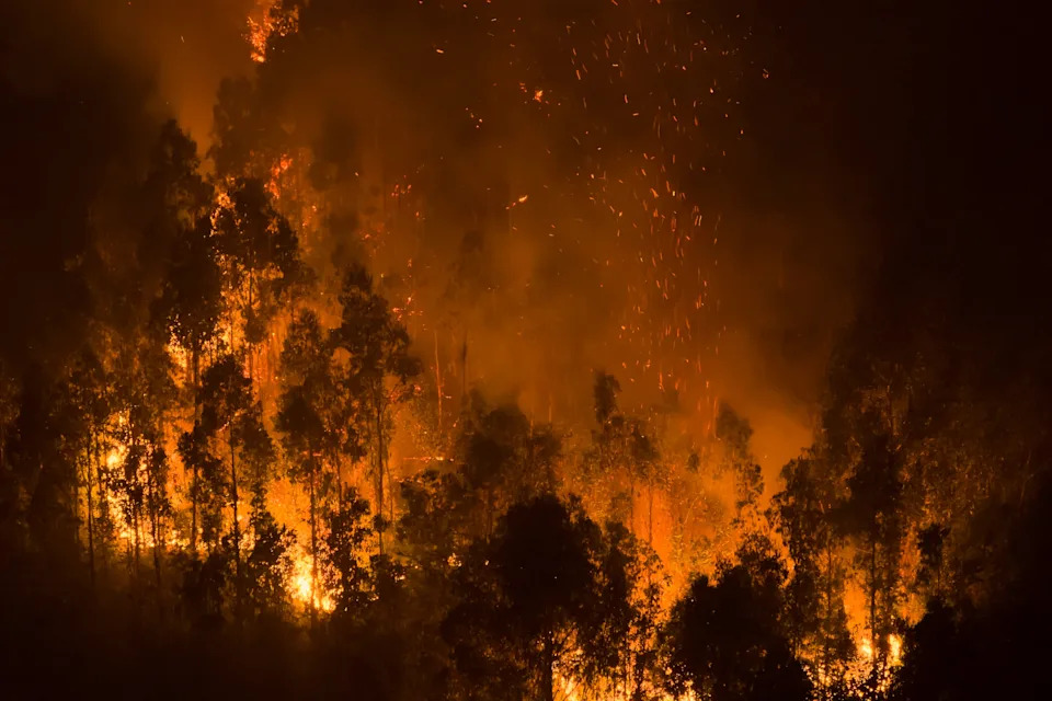 Why Chile’s Wildfires Are Spreading Faster and Burning Hotter