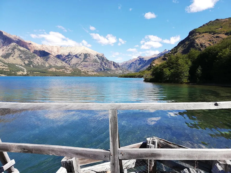 Three 10‑Foot Wingspan Andean Condors Released Into Chilean Patagonia to Boost Vulnerable Population