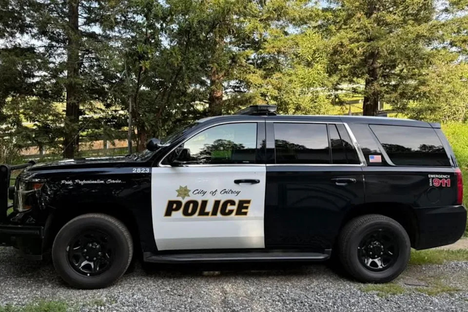 Mother of 7-Year-Old Twins Dies Days After Crosswalk Crash That Also Killed Husband During School Drop-Off