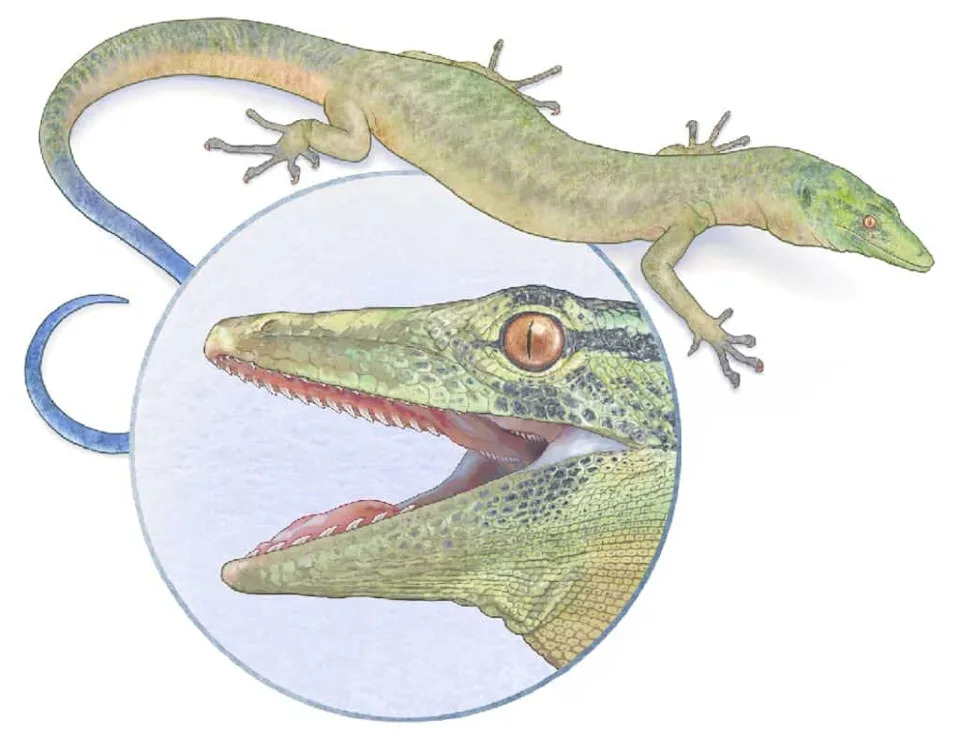 From Feathered Dinosaurs to Tiny Bees: 10 Fascinating New Species Described in 2025