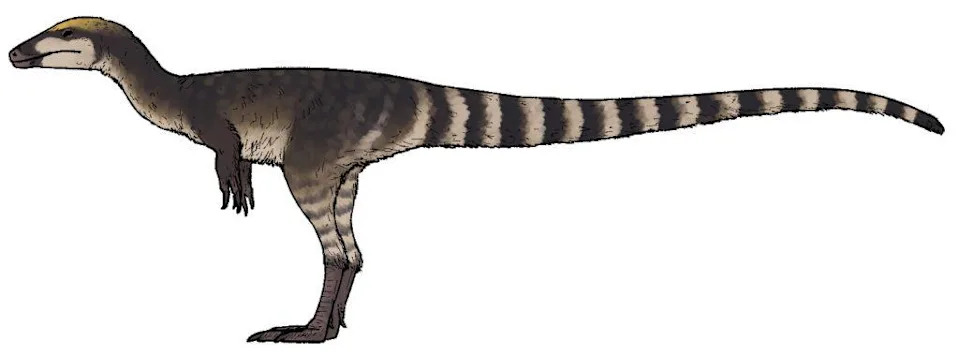 From Feathered Dinosaurs to Tiny Bees: 10 Fascinating New Species Described in 2025