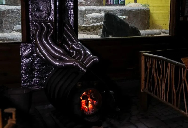 Kyiv Zoo Battles to Keep Animals Warm as Power Cuts Bite Amid Winter Attacks