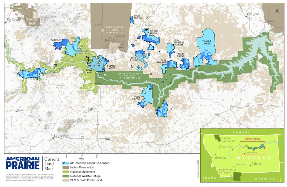 BLM Reverses Course: Rules Bison Aren't Domestic Livestock, Stalls Massive Private Prairie Reserve