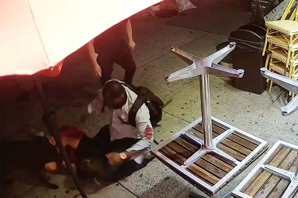 Man Sentenced to 17 Years After Brutal Manhattan Pizzeria Attack Involving Unleashed Dog