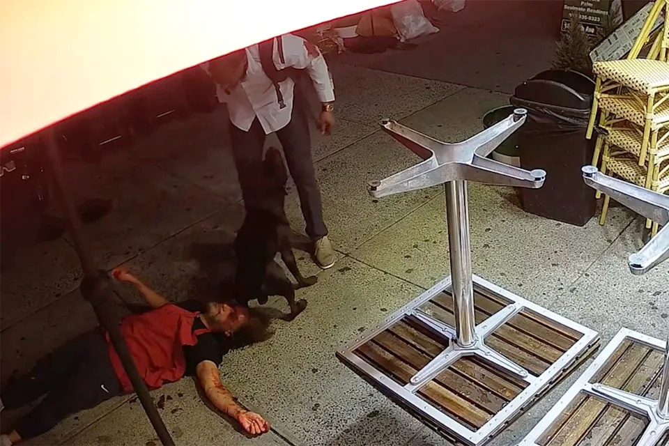 Man Sentenced to 17 Years After Brutal Manhattan Pizzeria Attack Involving Unleashed Dog