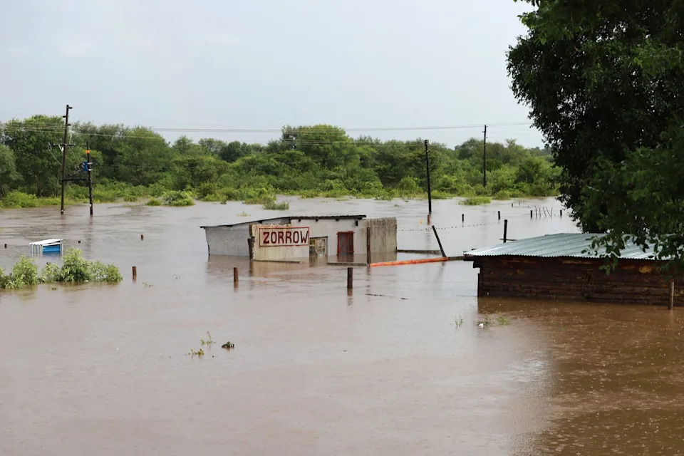 Crocodiles Kill At Least Three As Devastating Floods Sweep Southern Africa; Death Toll Tops 100