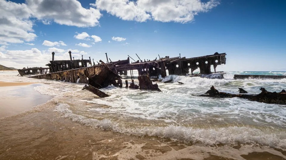 Teen Found Dead on K’gari: Dingo Bites and Drowning Deepen Safety and Conservation Debate
