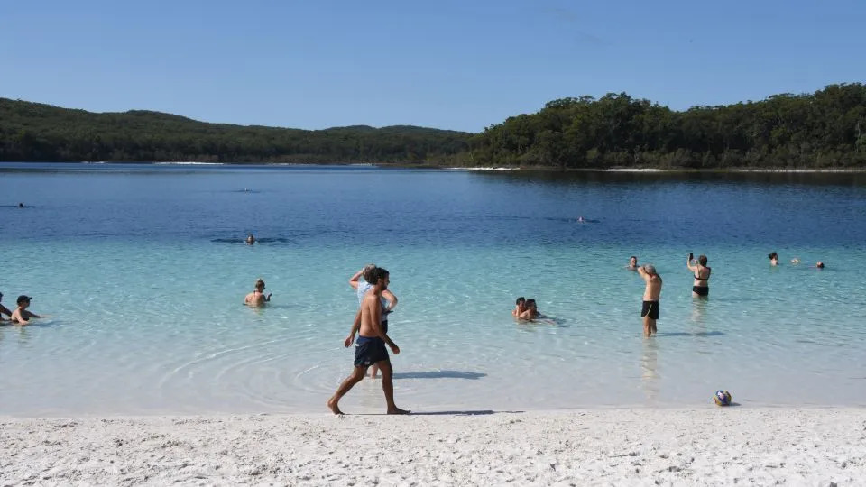 Teen Found Dead on K’gari: Dingo Bites and Drowning Deepen Safety and Conservation Debate