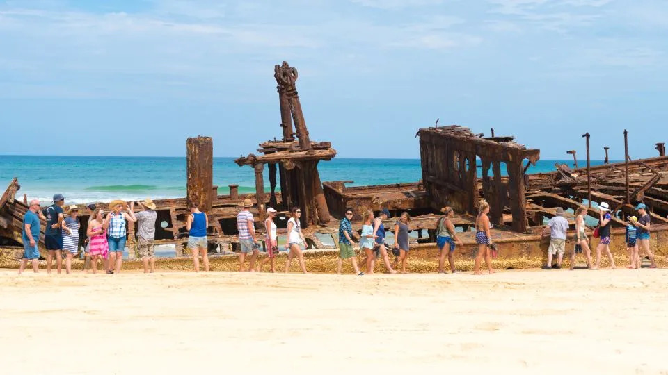 Teen Found Dead on K’gari: Dingo Bites and Drowning Deepen Safety and Conservation Debate