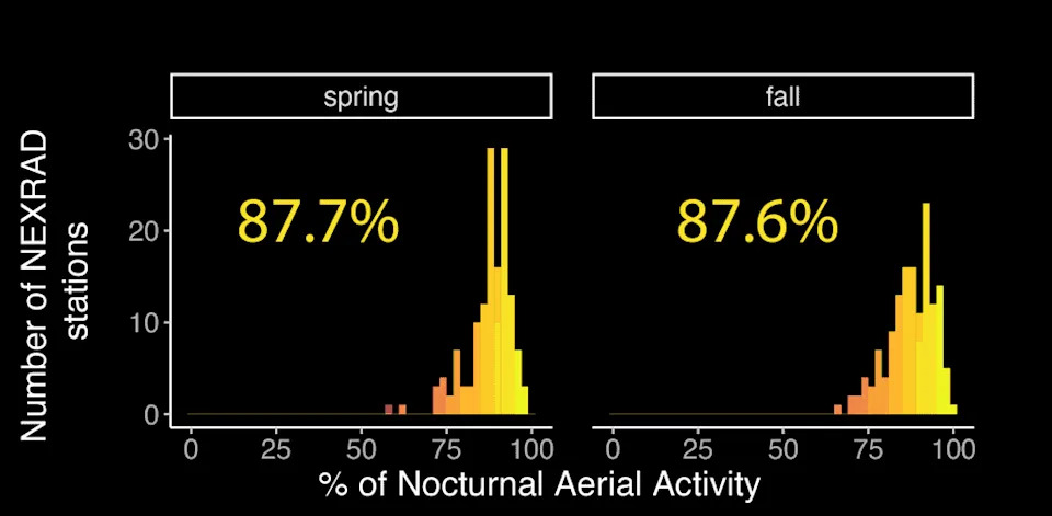 Radar Reveals the Sky as a 'Living Habitat' — What This Means for Birds, Bats and Conservation