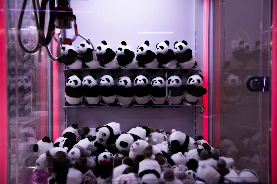 Last Chance To See Ueno’s Panda Twins — Xiao Xiao and Lei Lei Return to China as Ties Cool
