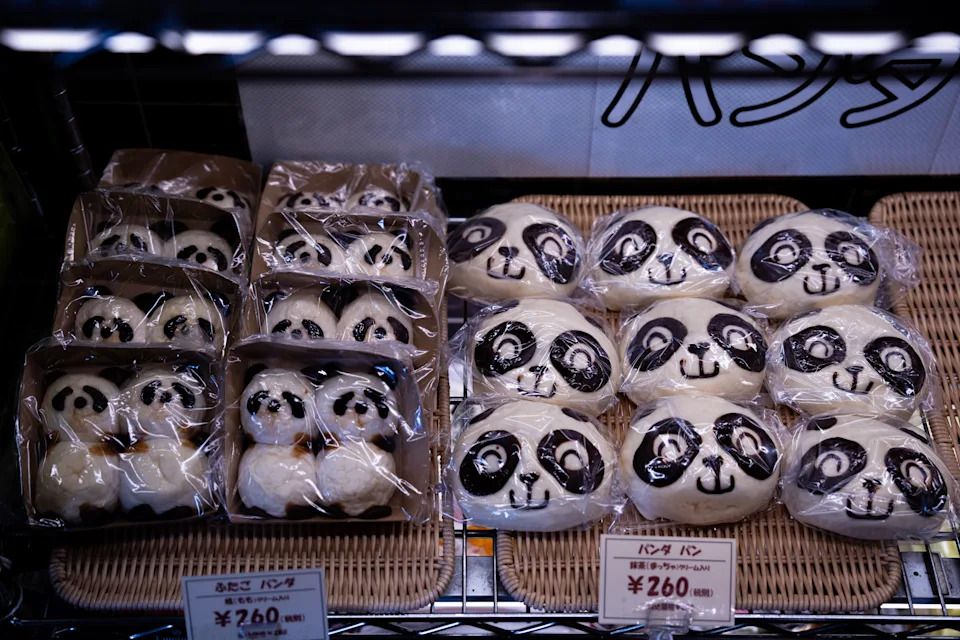 Last Chance To See Ueno’s Panda Twins — Xiao Xiao and Lei Lei Return to China as Ties Cool