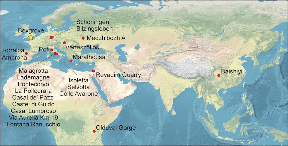 480,000-Year-Old Elephant-Bone Retoucher From Boxgrove Identified As Europe's Oldest