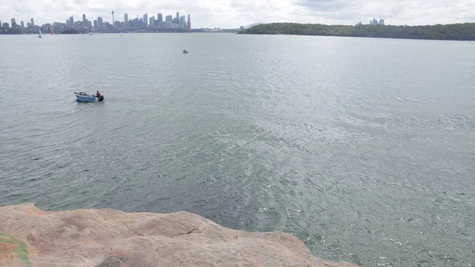 Four Shark Attacks Close Dozens of NSW Beaches After Heavy Rain — 12-Year-Old Killed