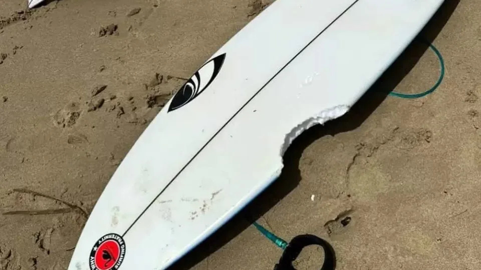 Four Shark Attacks Close Dozens of NSW Beaches After Heavy Rain — 12-Year-Old Killed